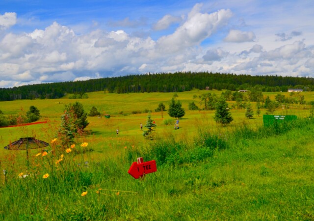 Fireman's Fairway Golf Course at Chimney / Felker Lake